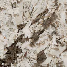 bianco antico granite Mackson Marble Granite
